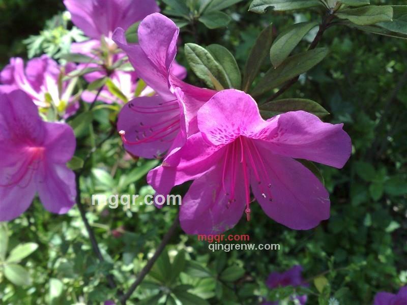 chengcheng成的第2张照片