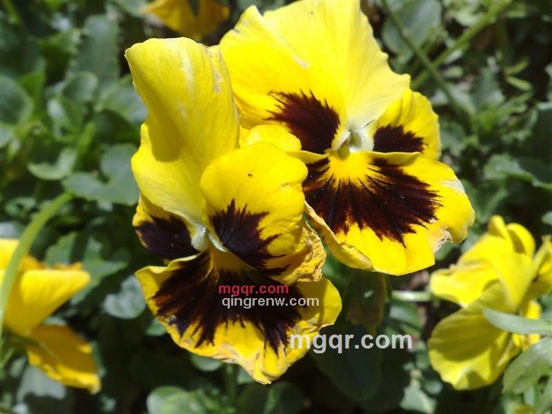 chengcheng成的第3张照片