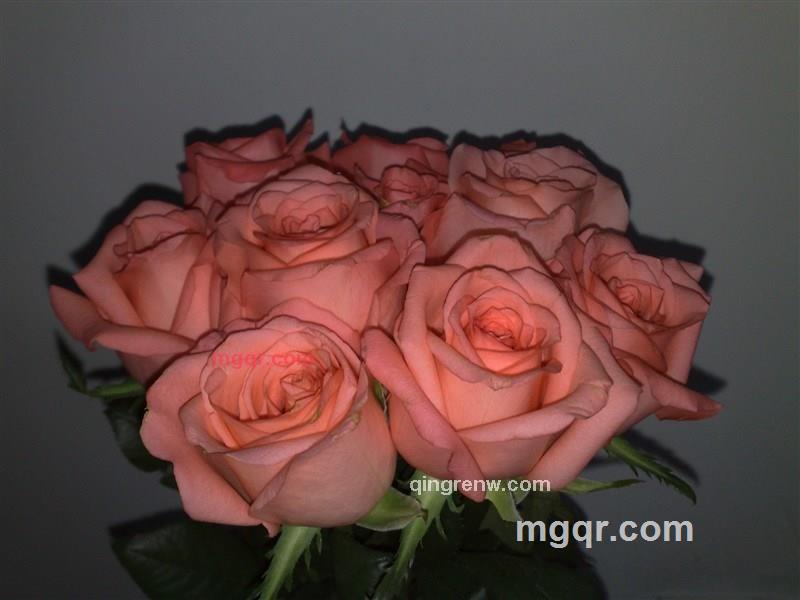 chengcheng成的第1张照片