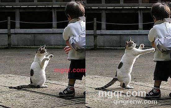 x0613的第14张照片