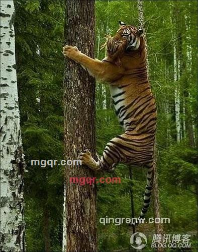 x0613的第11张照片