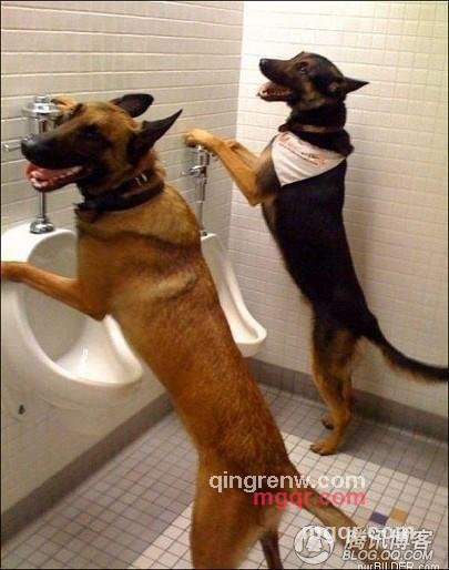 x0613的第13张照片