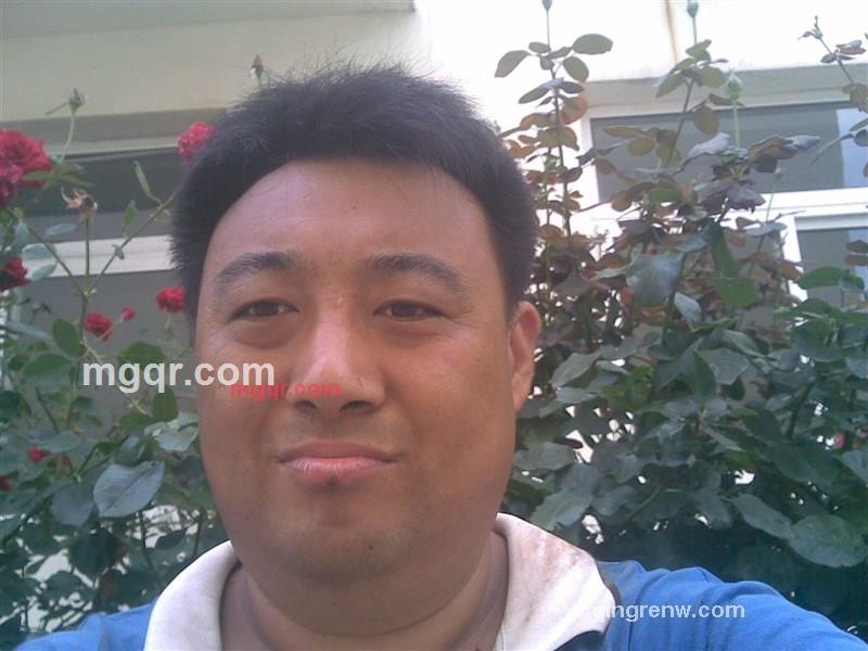 一颗孤独的心的第2张照片