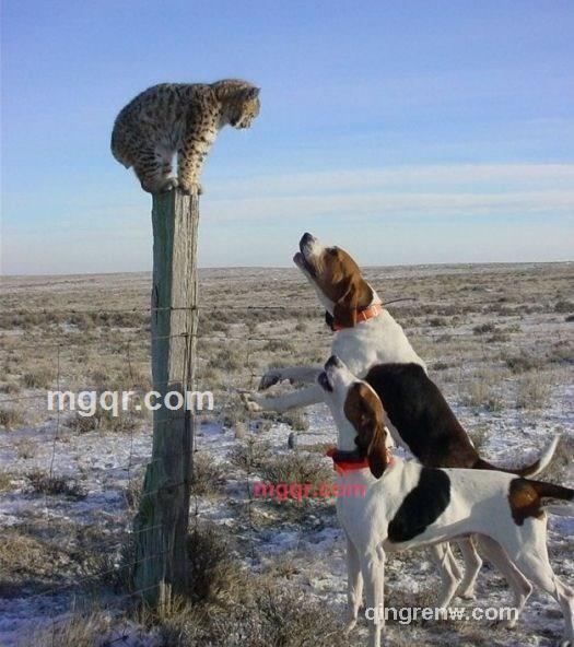 x0613的第9张照片