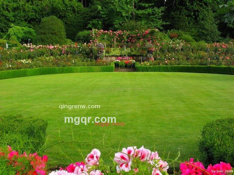 天明的第2张照片