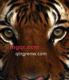 雷老师的第9张照片