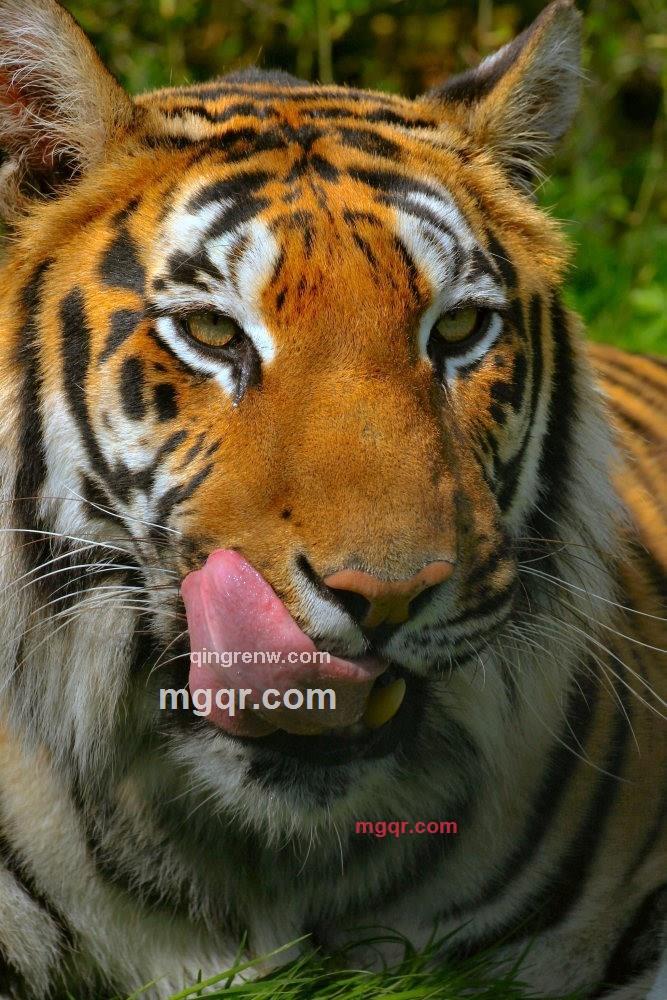 雷老师的第7张照片