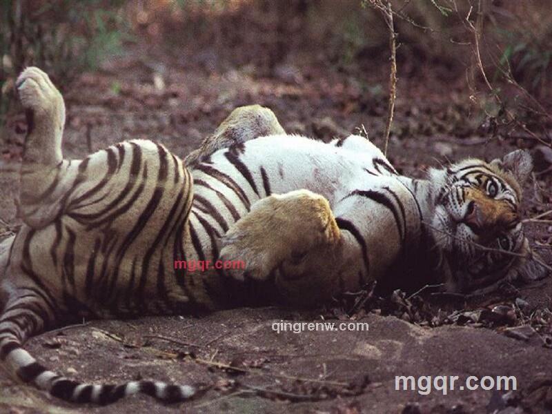 雷老师的第6张照片