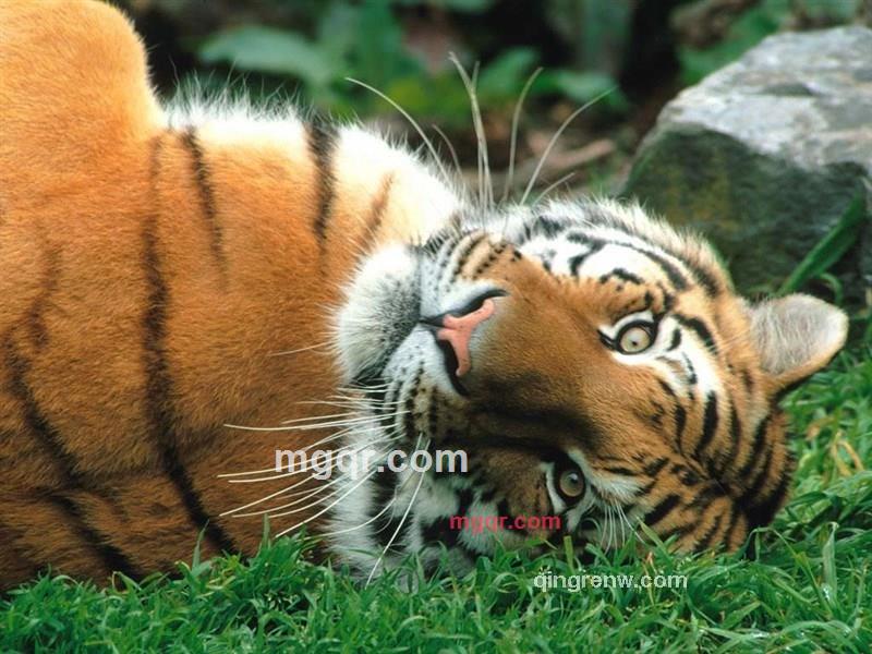 雷老师的第5张照片