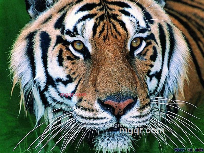 雷老师的第4张照片