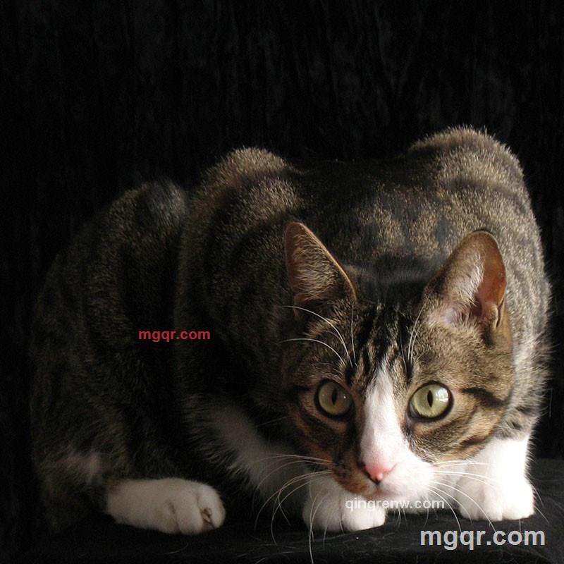 雷老师的第3张照片