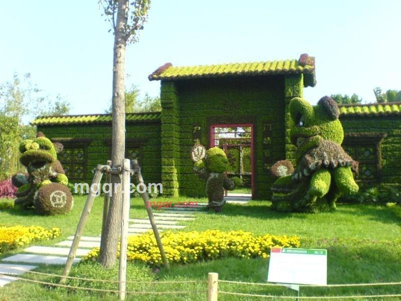 x0613的第3张照片