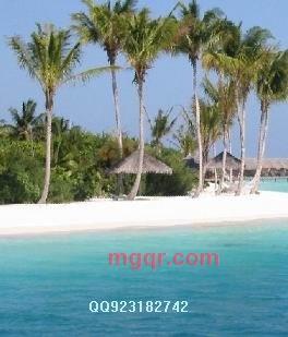 亮亮哦 的第1张照片