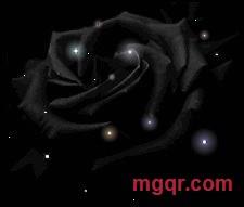 ♂♀第一的第4张照片