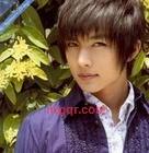 飘逸的枫的第1张照片