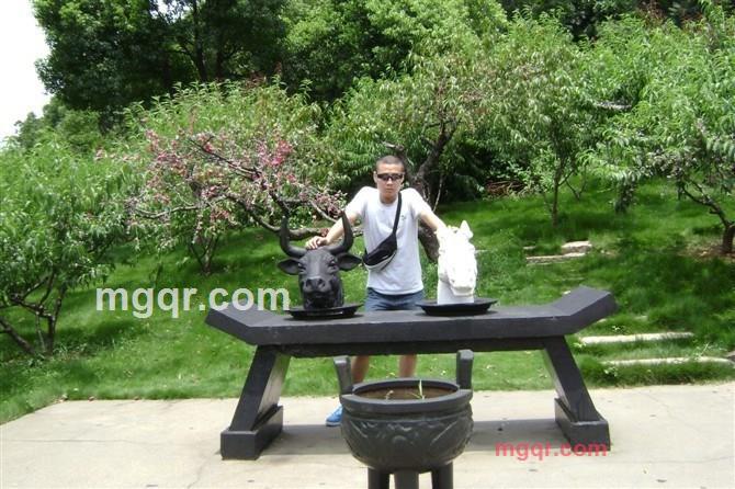 阿陈的第1张照片