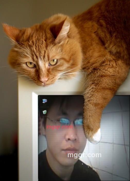 jaywo的第4张照片