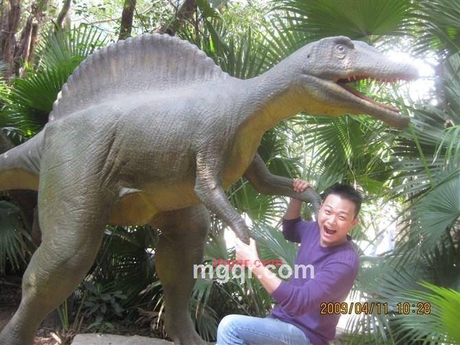 欧文0610的第4张照片