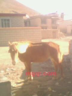 jzmmygd的第1张照片