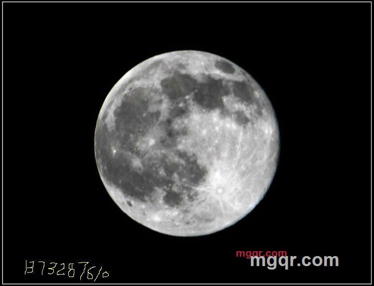 谈情说爱的第1张照片