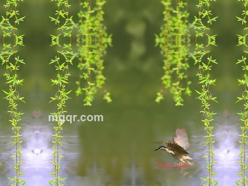 woaiyuyuya的第1张照片