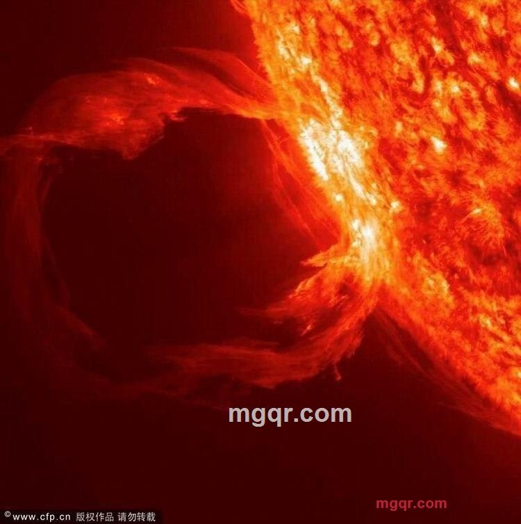 中华情的第4张照片