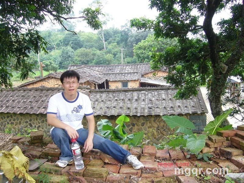 金毛狐狸的第1张照片