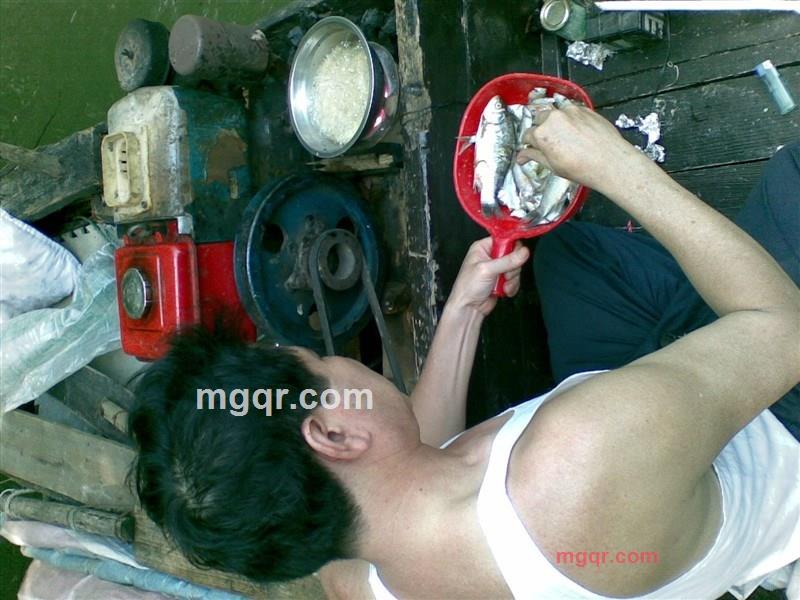 lifa的第2张照片