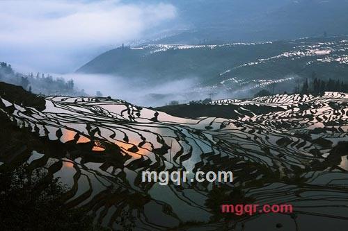 perter的第9张照片