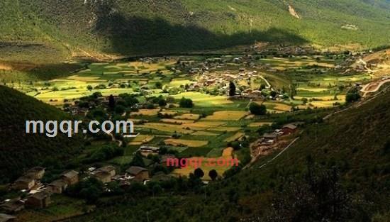 perter的第7张照片