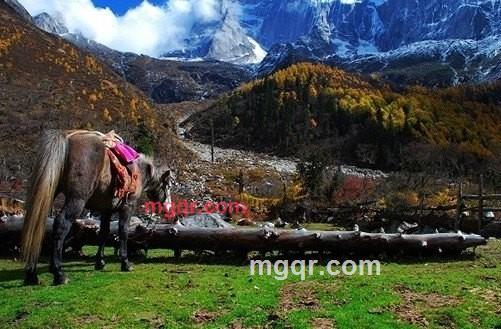 perter的第4张照片