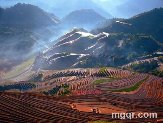 perter的第5张照片