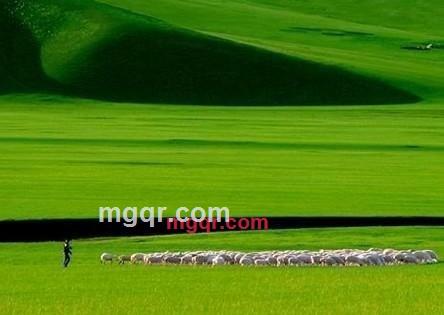 perter的第3张照片