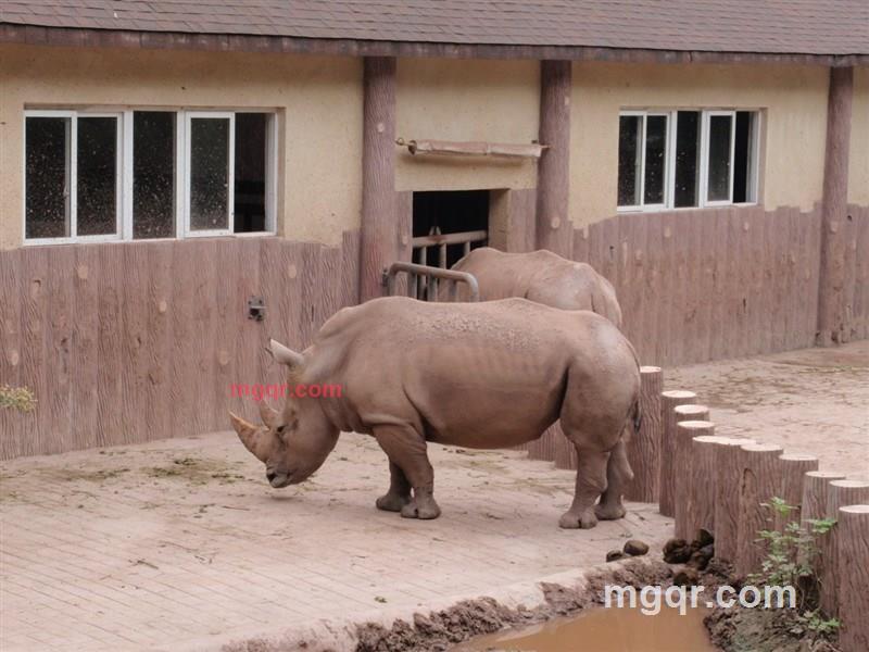 非比寻常2010的第1张照片