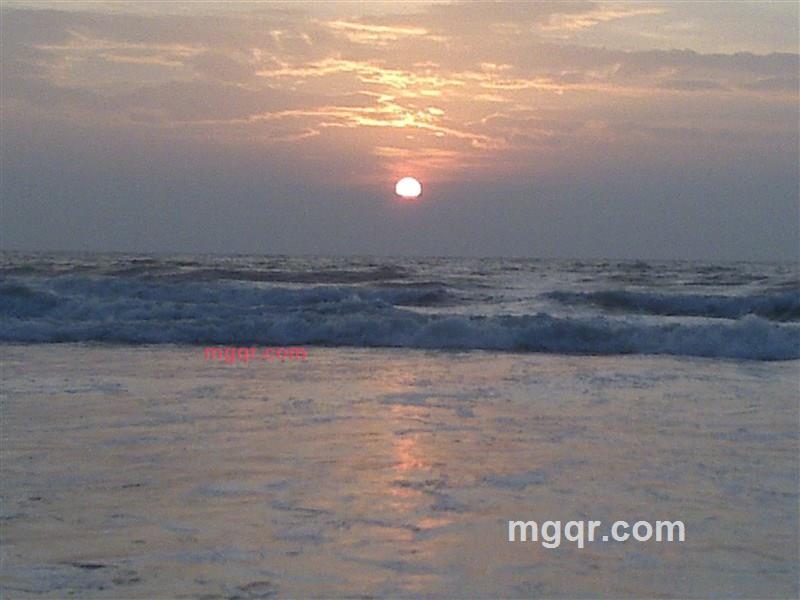 杨百万的第4张照片