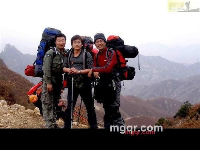 闲情雅致的第2张照片