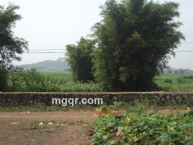 纯情小《处》男的第4张照片