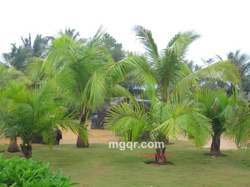 dfbb的第22张照片