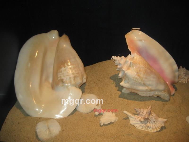 dfbb的第20张照片