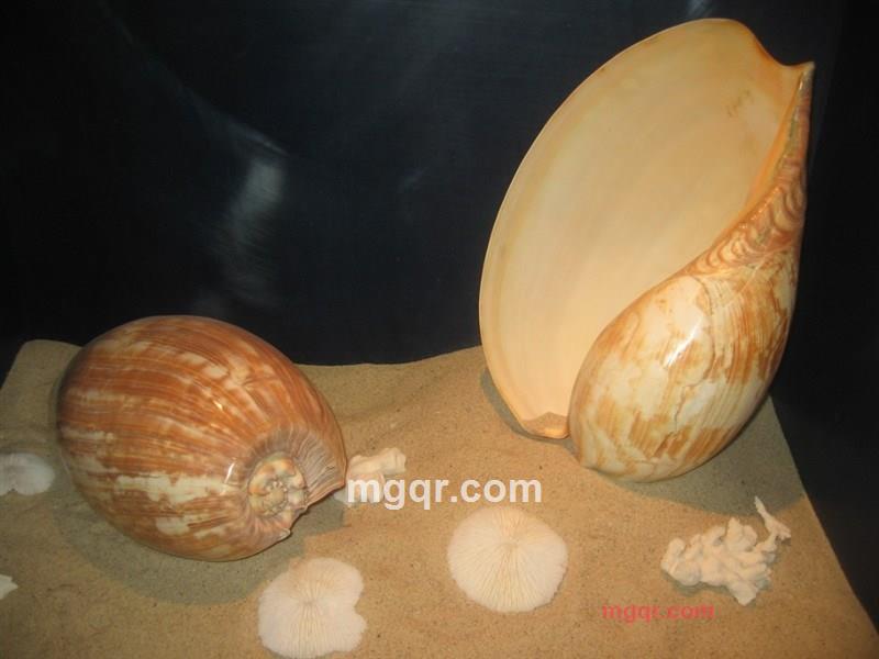 dfbb的第19张照片