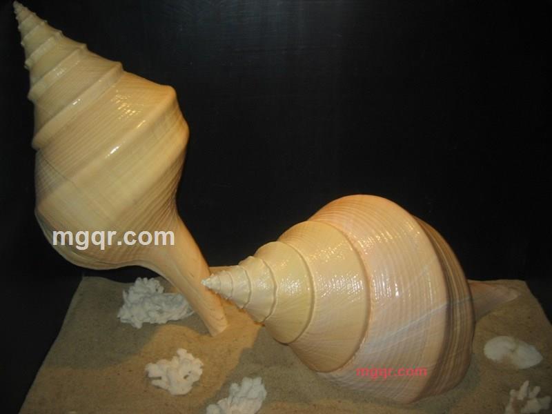 dfbb的第18张照片