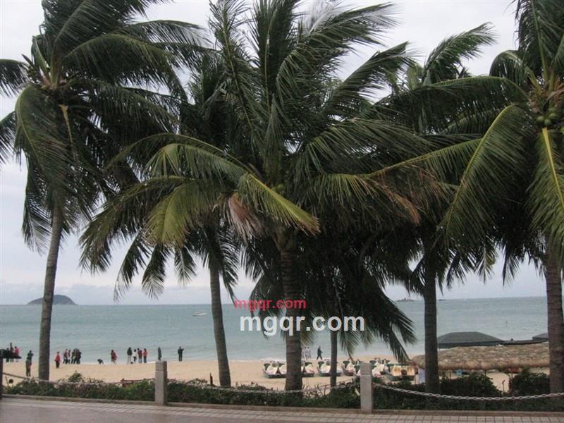 dfbb的第17张照片