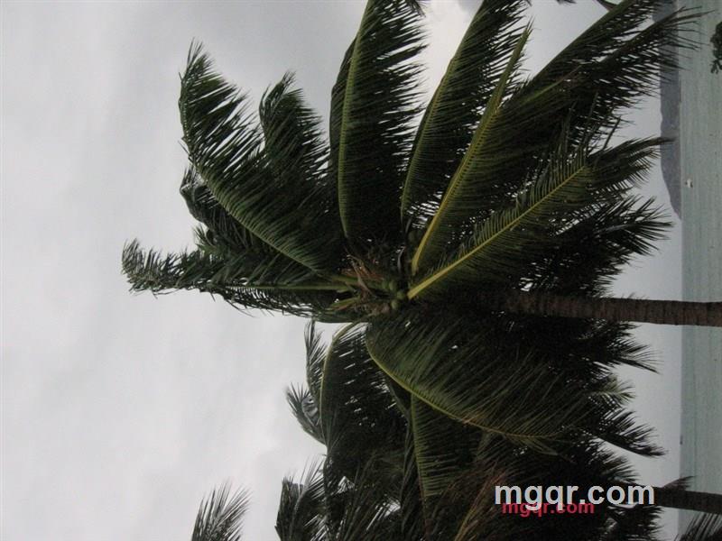 dfbb的第16张照片