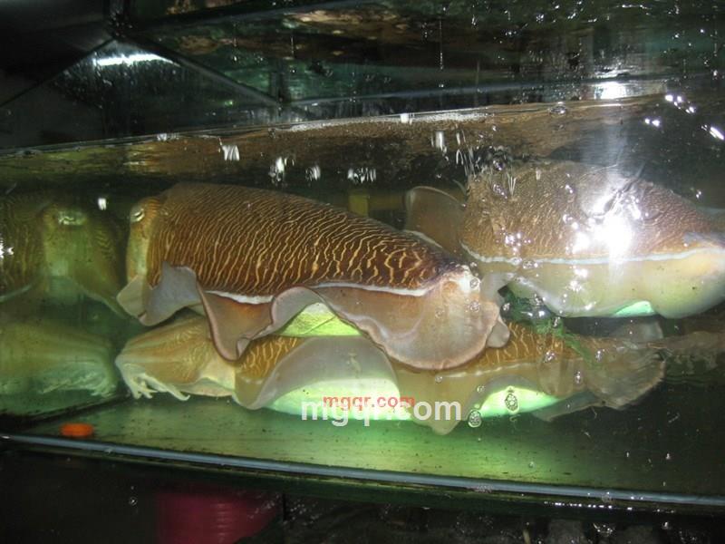 dfbb的第13张照片