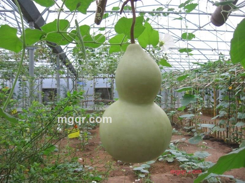 dfbb的第10张照片