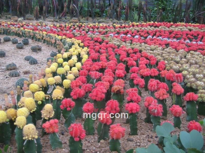 dfbb的第11张照片