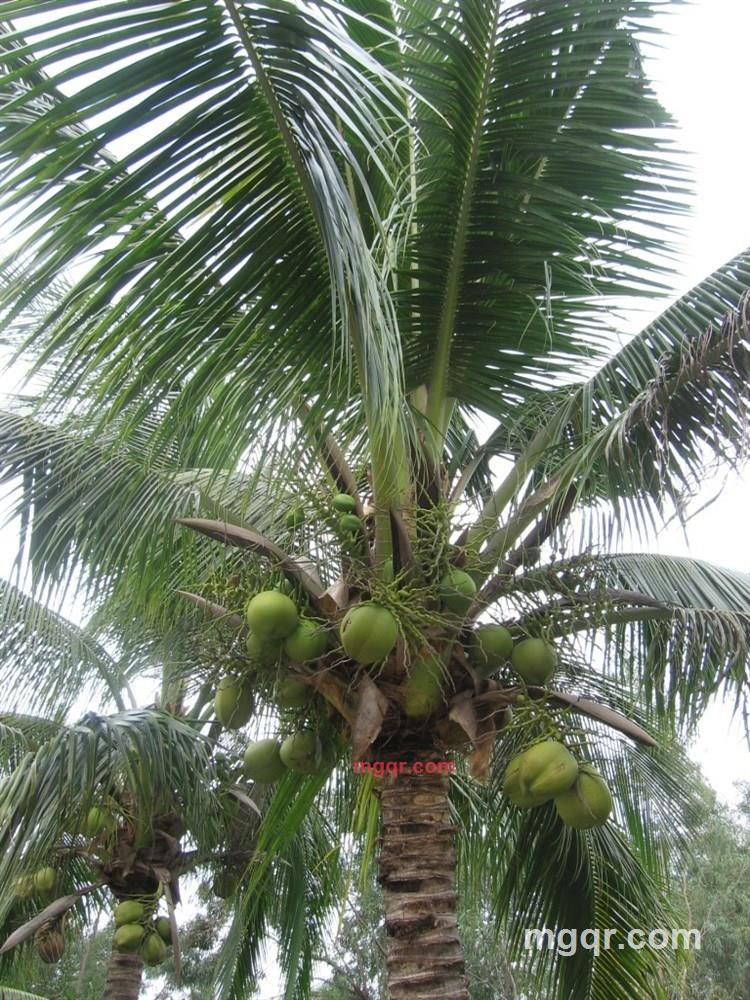 dfbb的第9张照片