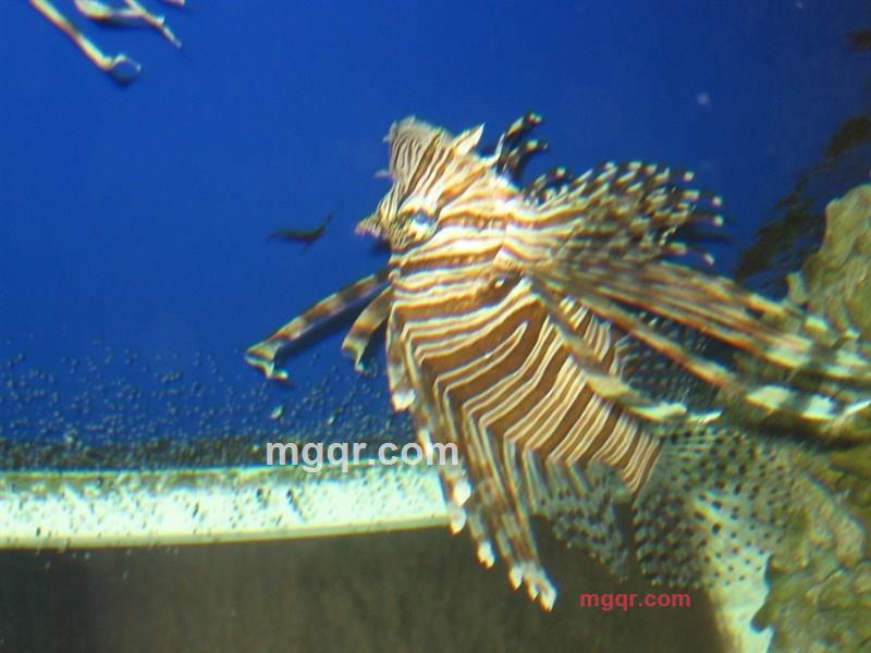 dfbb的第8张照片