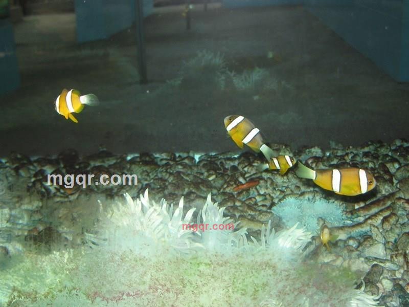 dfbb的第7张照片