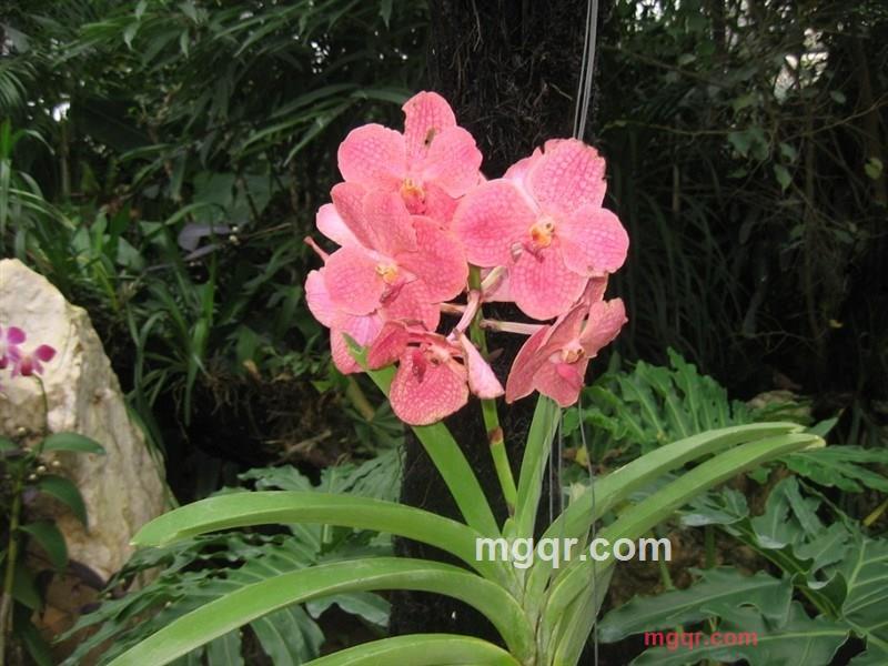 dfbb的第6张照片